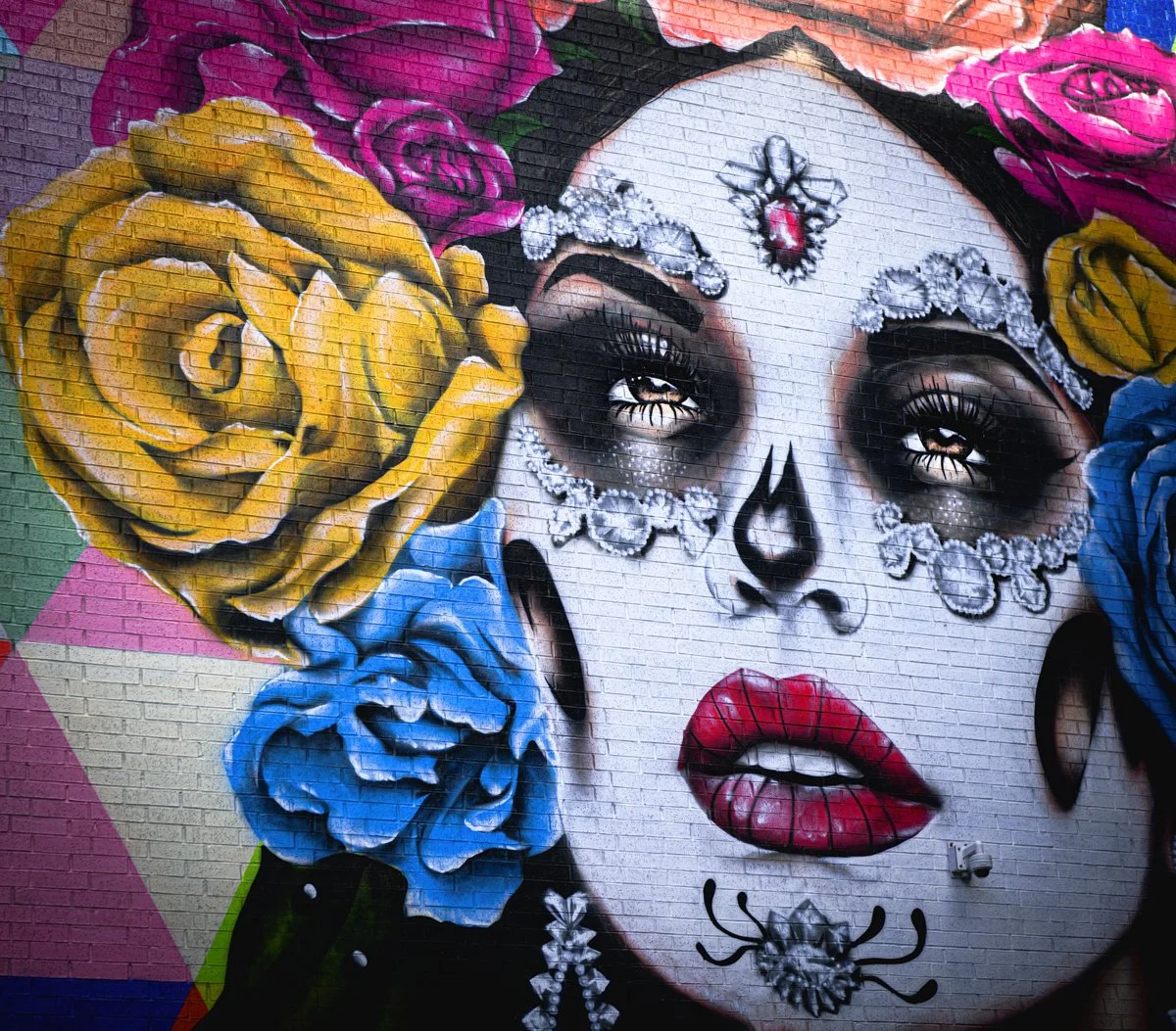 TEXAS: San Antonio Street Photography Tour — Experience Wildlife